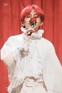 purpletaev profile image