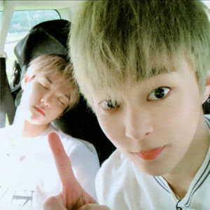 旦旦酒 profile image