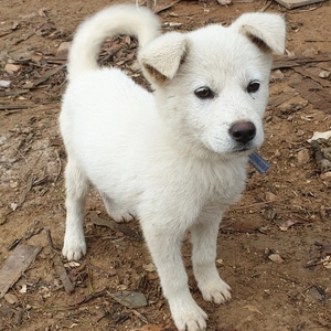 지이우 profile image