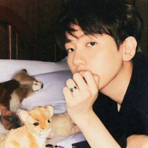 ccccbszd profile image