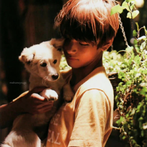 发光的小辣椒 profile image