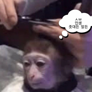 팬플러스작가 profile image