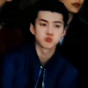 挚爱ohsehun⒈ profile image
