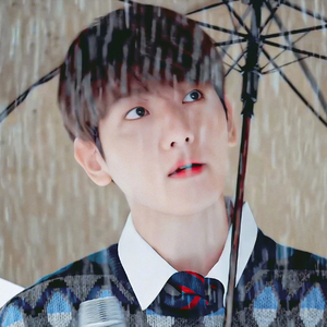 单恋小贤 profile image