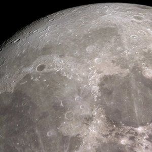 alelafraise profile image