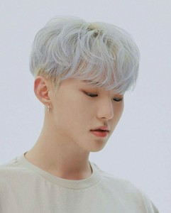 셉틴럿 profile image