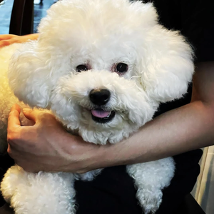 vivi妈咪plus版 profile image