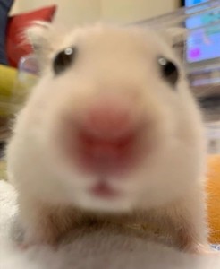 엔팁잉 profile image