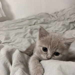 쥬에 profile image