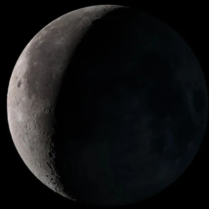 Moonlight123cubsstay profile image