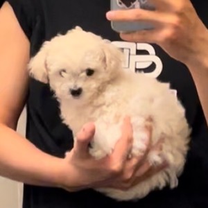 懒羊羊10 profile image