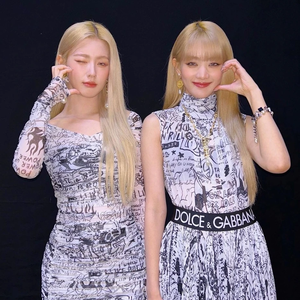 댕자사랑 profile image