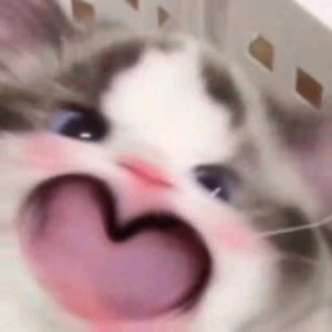 王烦烦 profile image