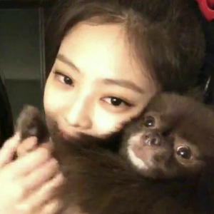 피련 profile image