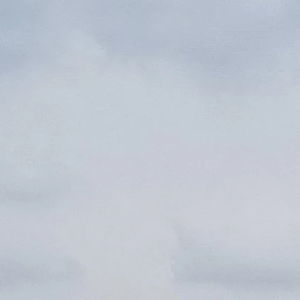 리노조아 profile image