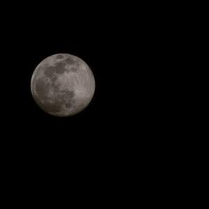 문블루 profile image