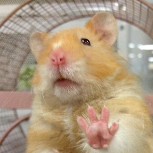 이병건두부 profile image