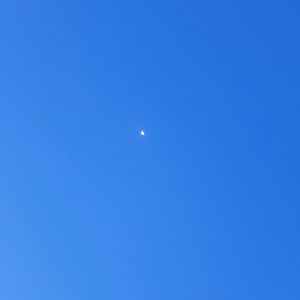 txt이와거북이 profile image