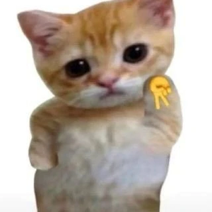 talithaagyu profile image