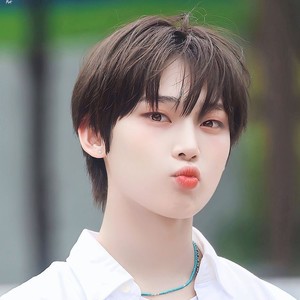 선복 profile image