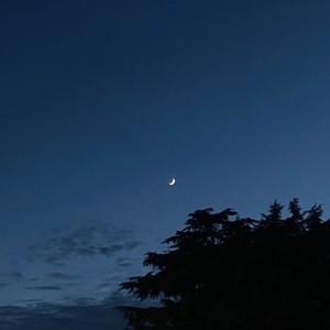 풍월주 profile image