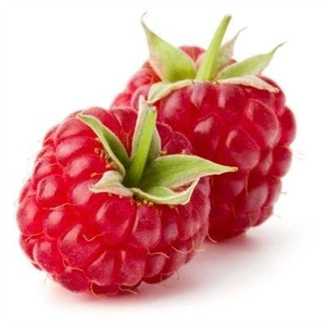 낭만실조 profile image