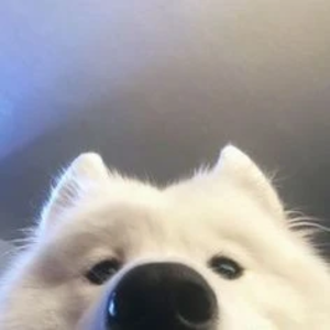 0ebbac7ed1d2f67fd2a26ce994203aa7 profile image