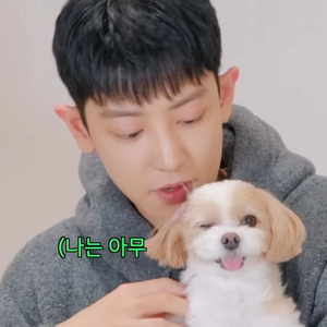 tomorrowithloey profile image