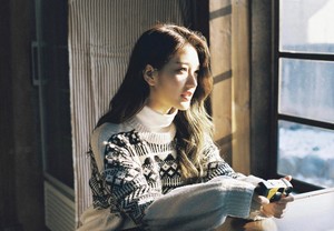 블링크스윗플로버 profile image