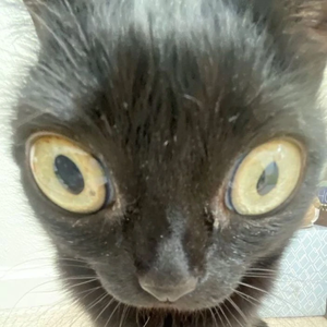 Dreаm127 profile image