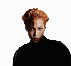 nini熊 profile image