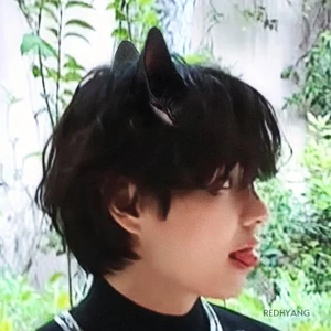 냥냥태태 profile image