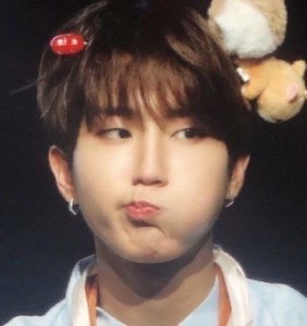 나능쿼카 profile image