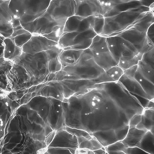 땡벌 profile image