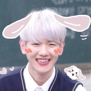 엑소오빠들의항상에리 profile image