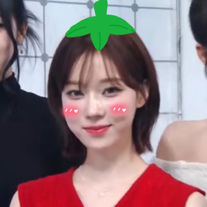 터마터 profile image
