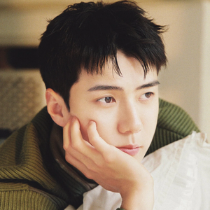 뿌잉뿌잉세훈 profile image