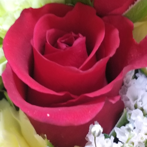 ㆍ안녕ㆍ profile image