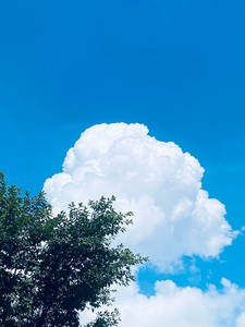 아이디삭제2 profile image