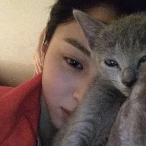 48bfe3c40fa20bc305cd8e87a760eb64 profile image