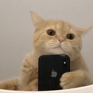 오드득 profile image