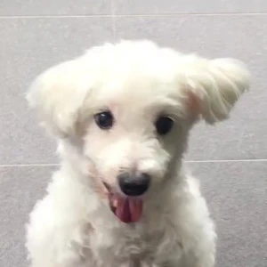 오잉찐 profile image