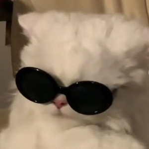 그므시라꼬-ㅅ- profile image