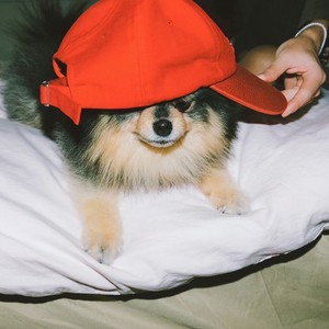 taetaecc profile image