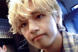 Nilesss profile image