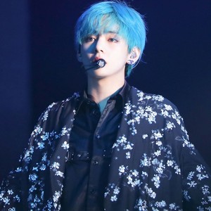 nini0302 profile image