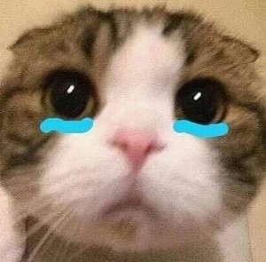 로수빈 profile image