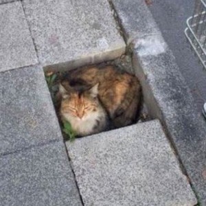 헐대박정말완전짱 profile image