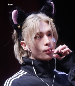 하얀공백 profile image