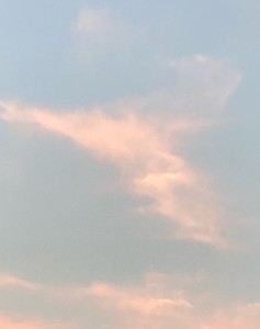 우오앙ㅇ profile image